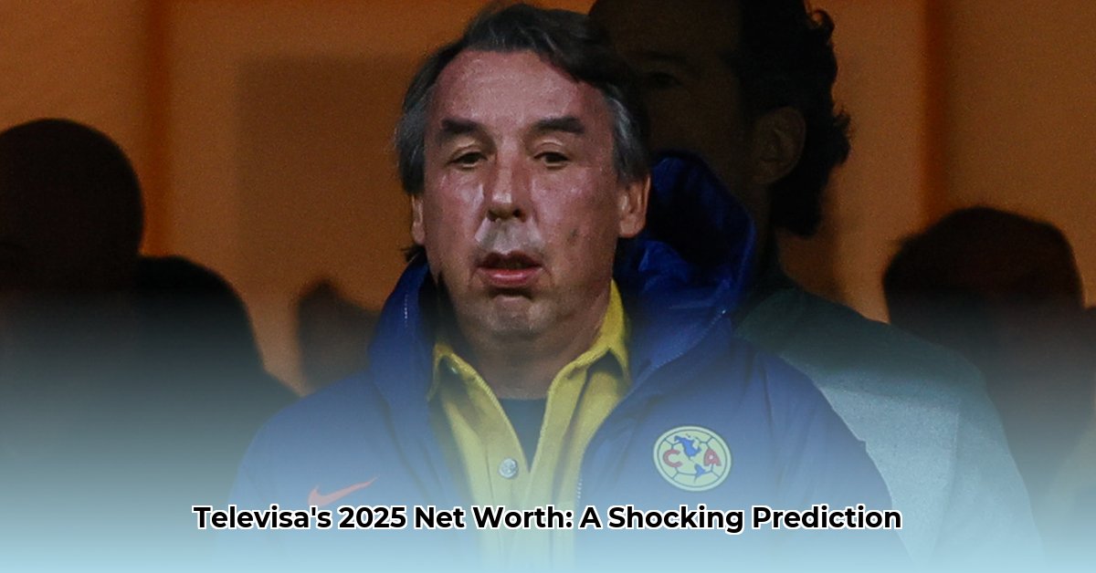 televisa net worth